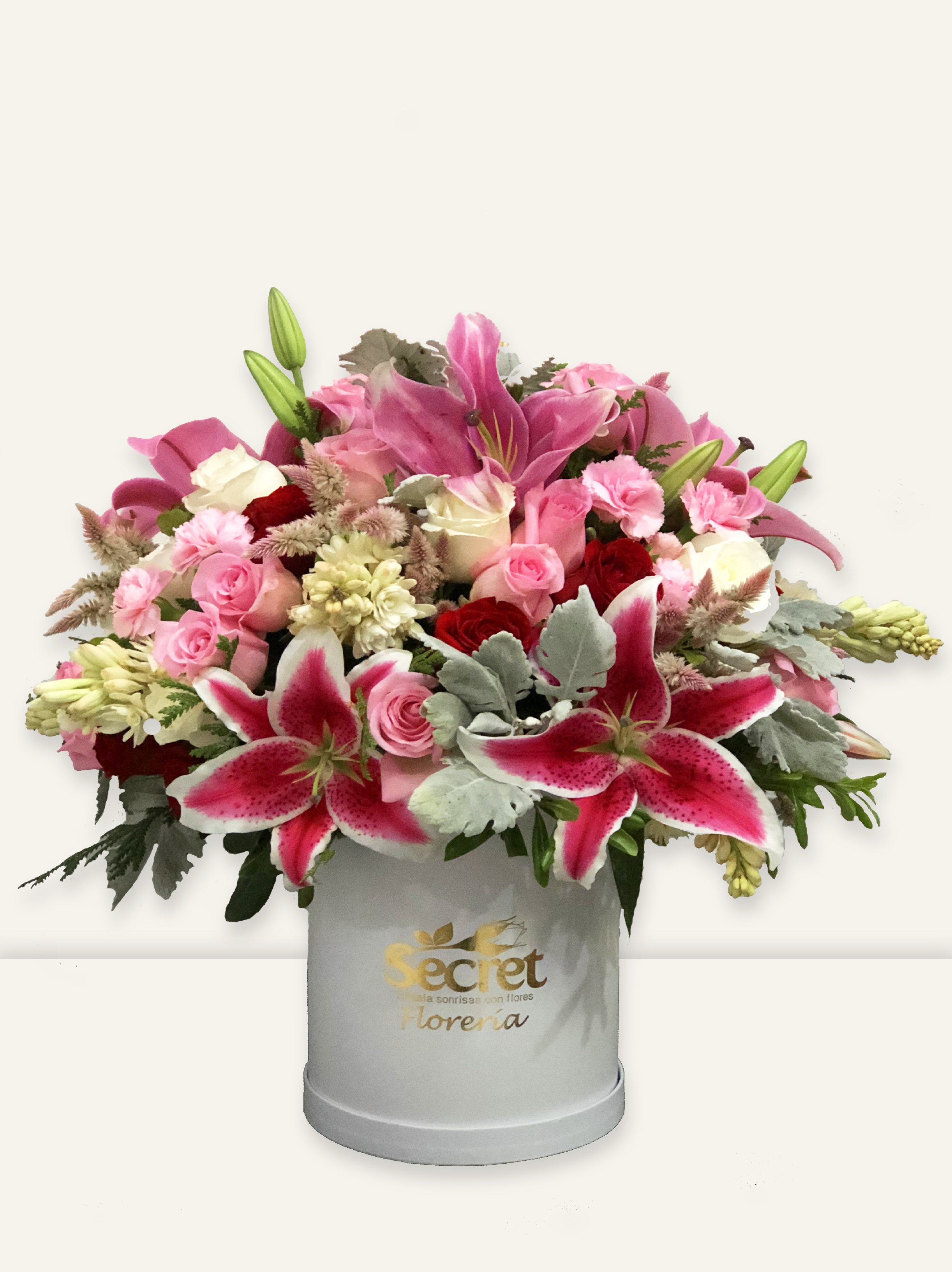 Rosa pastel